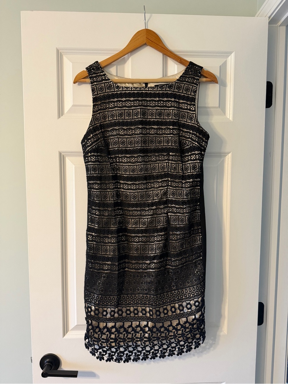 Premise Black Lace Overlay Mini Dress with Nude Underlay